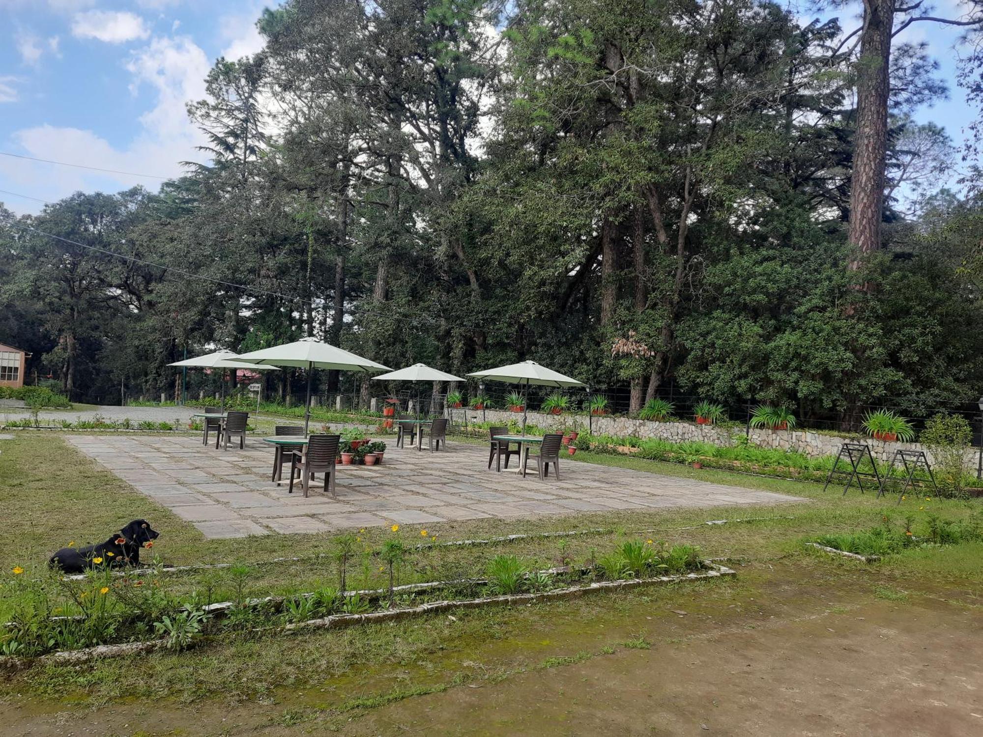 West View Hotel Ranikhet Bagian luar foto